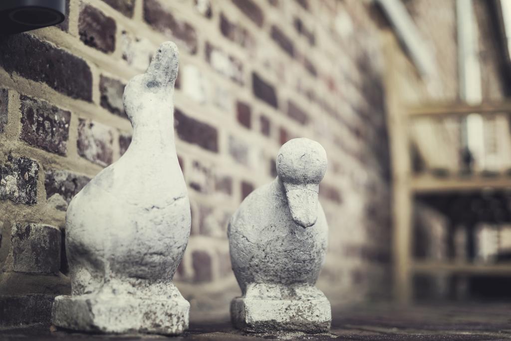 B&B In De Velden Bocholt エクステリア 写真